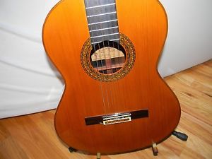 Alvarez yairi cy118 classical guitar