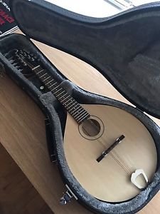 Mandolin By Jimmy Moon