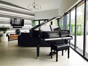 Tesoro Nero Black Baby Grand Piano for Pianists