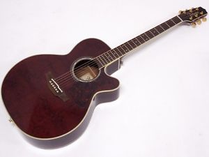 Takamine DMP551C WR FROM JAPAN/512