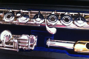 Armstrong Heritage Flute Solid Silver Open Hole B-Foot Gold Head L@@K!!