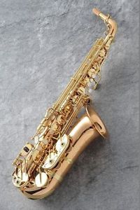 Yanagisawa A-WO20 Alto Saxophone New w/Original Hard Case Made in Japan