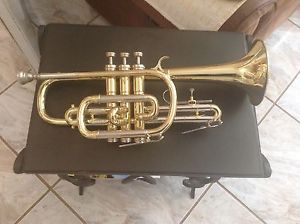 Vintage Couesnon cornet in excellent condition. Hand-made by Bertiot in Paris.