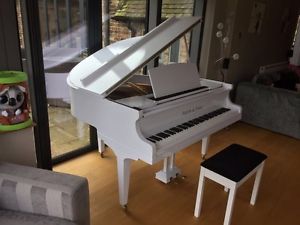 Tesoro Nero White Baby Grand Piano for Pianists
