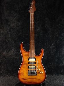 WARMOTH Custom Conponet -Tiger Eye- 2010 guitar w/gigbag/456