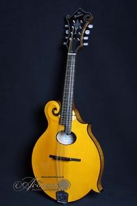 Weber Yellowstone F4 mandolin: F style, oval hole, honey/tortoise