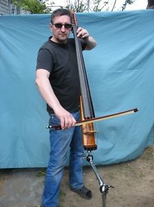 electric double bass upright