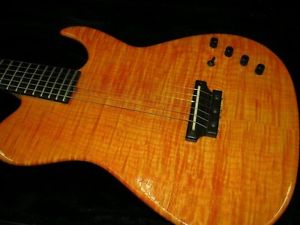 Don Grosh Electric Acoustic TLECASTER Type w/hardcase/512