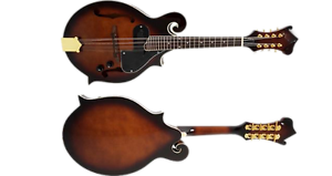F Cut F Style Mandolin, W/ Case, Professional Quality, Electric Pick Up Install