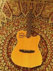 Godin /1999 Duet Steel w/hardcase/512