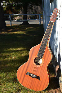 Weissenborn Guitar - Balance Series by Twisted Wood Guitars - Solid Mahogany Top