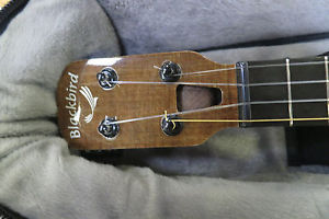 Black Bird -Clara Concert Ukulele