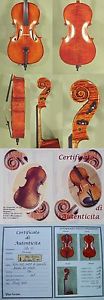 HANDmade Quarter Size 1/4 CHILD Master Level GLIGA Antique CELLO STRAD Pattern