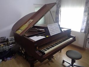 Klavier Pianino Flügel Piano Pianoforte WIEN !