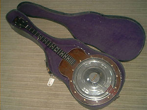 Dobro-DoJo Banjo....Gibson Strings