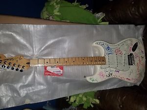 Fender Stratocaster Electric Guitar