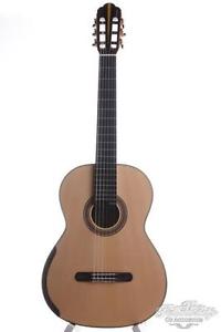 Yulong guo nikita concert classical 2014 mint