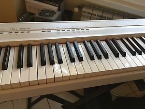 Yamaha P105