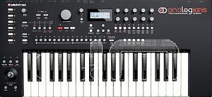 Elektron Analog Keys : NEW : [DETROIT MODULAR]