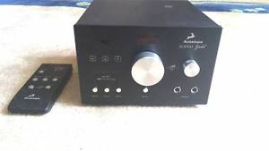 Antelope Zodiac Gold