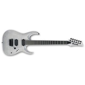 Ibanez RGAIX6FM WFF RGA Iron Label Guitar, White Frost Flat +Cable