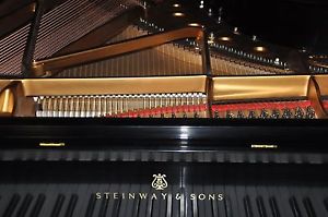 Steinway Model B  2017 High Gloss  Custom Custom Rebuilt and New Kluge Keys