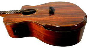 Washburn WCG55CE Koa Acoustic Electric EZ-Play Modified Guitar