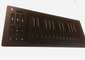 Roli Seaboard RISE 25