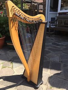 Dusty Strings, Ravenna 26 hand made Harp. Very good condition, hardly played.