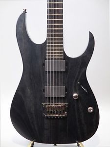Ibanez Electric Guitar Rgit20fe 