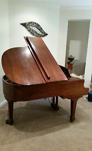 Grand  Piano Alex Steinbach