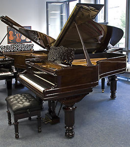 Steinway & Sons B211, Palisander