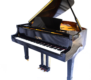STEIN Grand Piano from Steinway Specialists