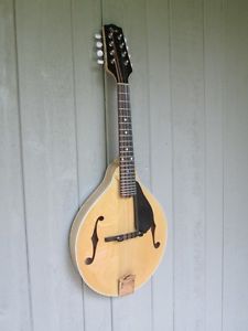 Pava Knezevic mandolin