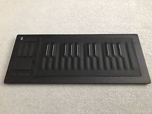 Roli Seaboard Rise 25