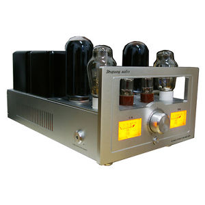 Shuguang Sg-300B-98*2 Sg-845B SG-6SN7GT*2 Vacuum Tube Integrated Amplifier 220V