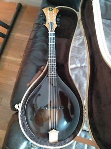 Gavin Baird custom A style f hole mandolin.......SS frets...no details spared