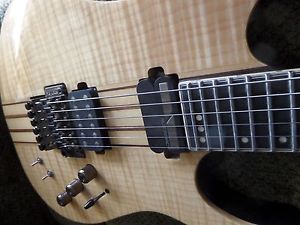 Top of the Line Schecter Banshee Elite 6 FR with Sustainiac Pickup