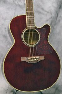 Takamine DMP551C WR w/Hard case/569