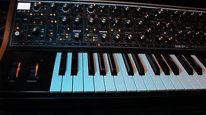 Moog Sub 37 Tribute Edition Paraphonic Analog Synthesizer