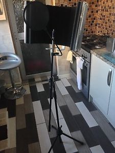 studio condenser microphone