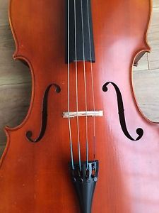 Cello 4/4 (full size) Andrew Schroetter