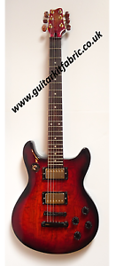 Les Paul Double Cut style guitar, Mahogany - Luthier customised & Designed