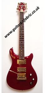 PRS gold guitar style, Mahogany/Mapple - Luthier customized & Designed
