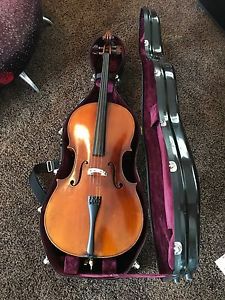 Raul Emiliani Master Cello