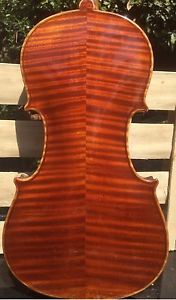 Violon Étiquette Anibal Fulquet 1909