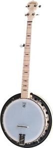 Deering Goodtime 5Strings GOODTIME2 Banjo