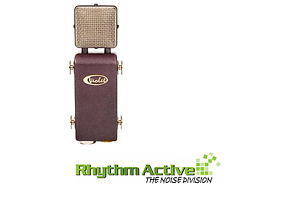 VIOLET DESIGN THE AMETHYST "STANDARD" CARDIOD STUDIO RECORDING MICROPHONE