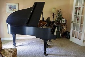 Young Chang Pramberger PG-185 Artist Series 6' 1" Grand Piano - Satin Ebony