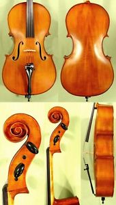 EUROPEAN 7/8 SCHOOL LEVEL 'GENIAL 1-Oil' CELLO CODE: A2360